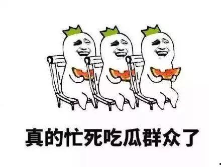 吃瓜群众的自我休养小说,吃瓜群众的自我修养之路