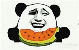 吃瓜群众会长成果么,揭秘成果背后的故事