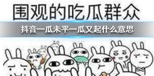 抖音群众吃的瓜是什么,揭秘群众热议的“神秘瓜”事件