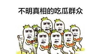 嘲笑吃瓜群众文言文翻译,嘲弄围观者之文言风趣副标题